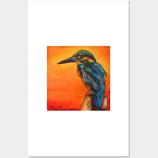 kingfisher at sunrise Posters and Art